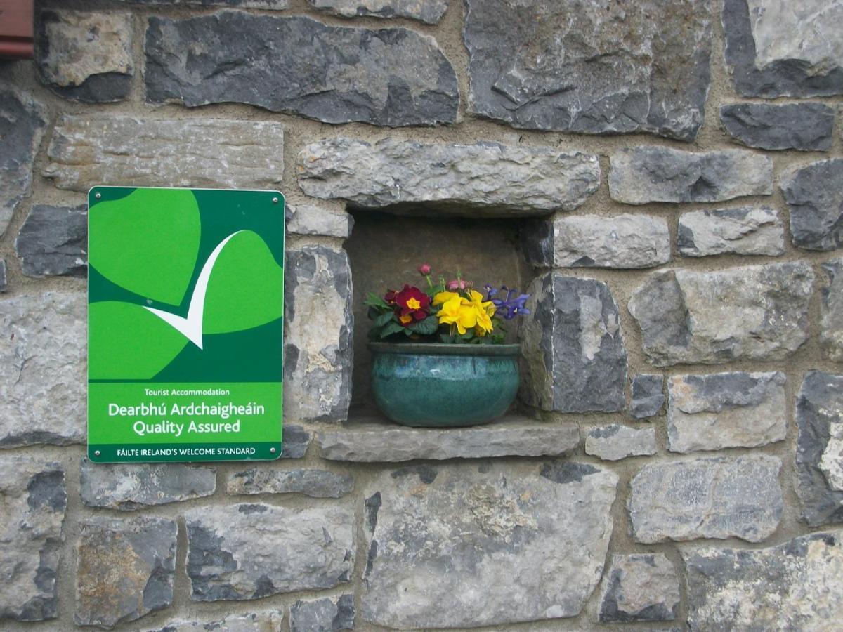 Aille River Tourist Hostel Glamping Doolin Bagian luar foto
